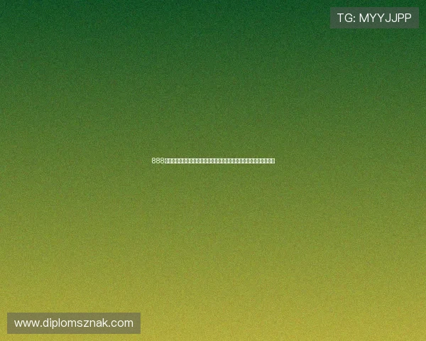 888娱乐报道世界杯各国球队备战情况，揭秘球队战术策略与明星球员表现
